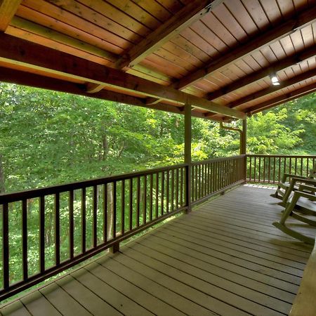 Morganton Champagne Chalet - Cuddleup 빌라 외부 사진
